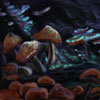 fungus cave