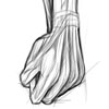 hand study 1