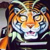 Tiger Snowmobile Hood